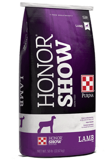Honor Show - ShowLamb Strech 17 Txt DX