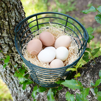Nesting Pad