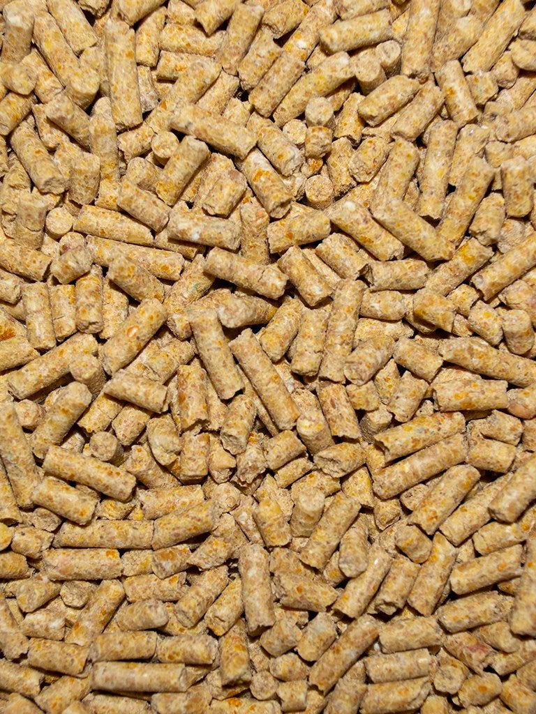 Winner's Cup Pigeon Breeder Pellets