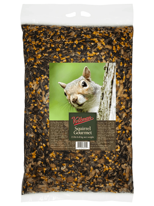 Squirrel Gourmet