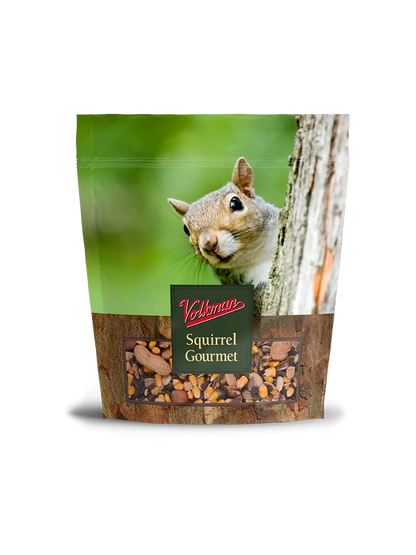 Squirrel Gourmet
