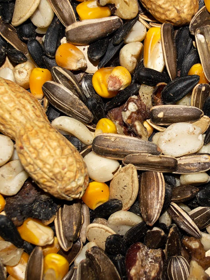 Premium Squirrel & Wildlife Mix