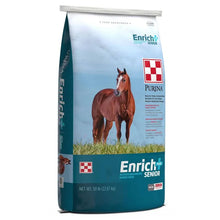 Enrich+ Senior