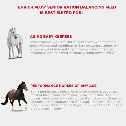 Enrich+ Senior