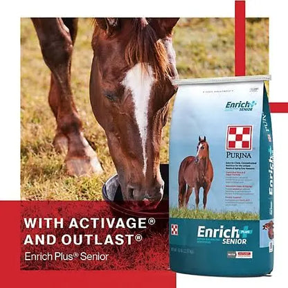Enrich+ Senior