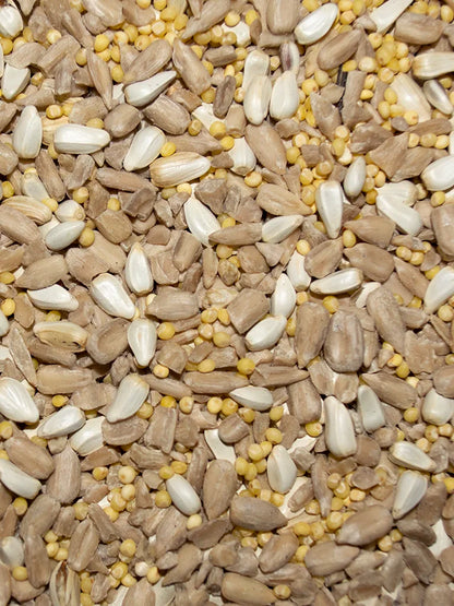 Premium Garden Mix - Wild Bird