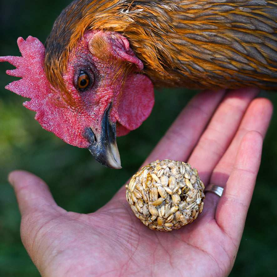 Happy Hen - Treat Tumblers