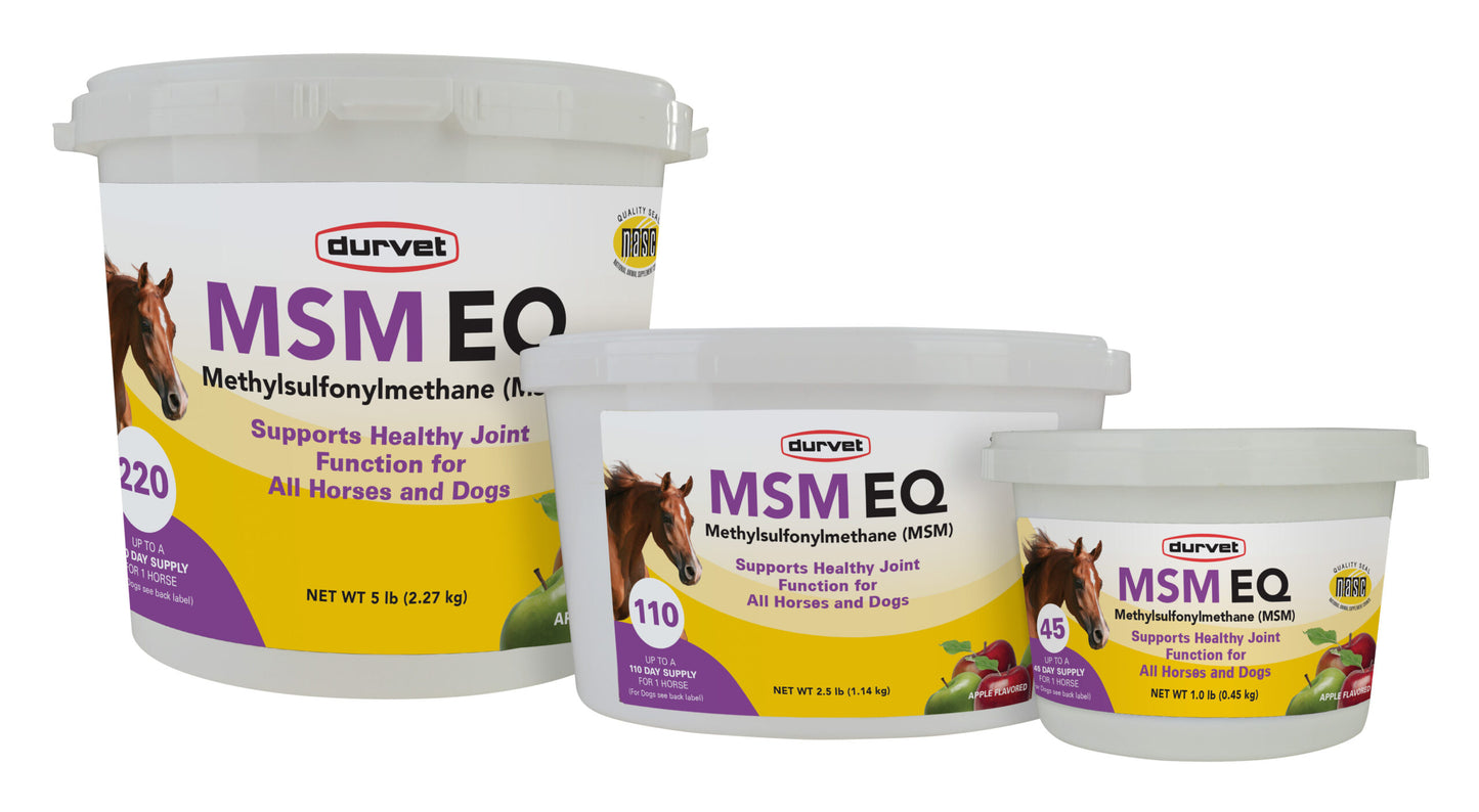 MSM EQ
