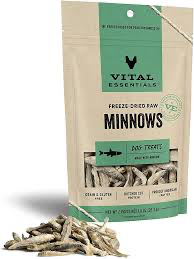 Dog Minnows