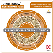 Start & Grow - Non-Medicated