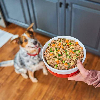 Stella & Chewy Freshmade