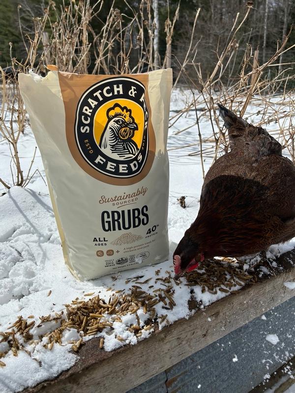 Scratch & Peck - Grubs