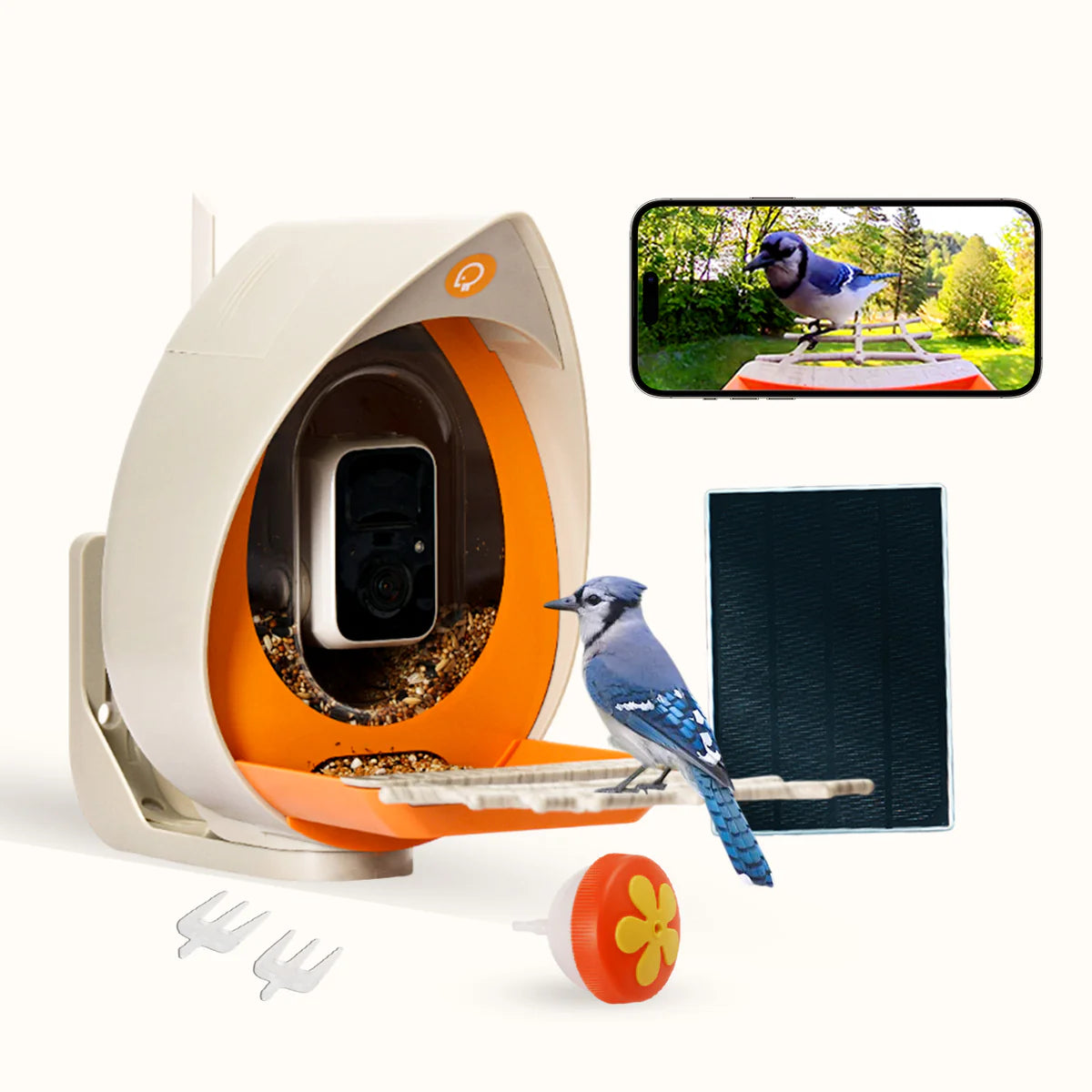 PeckPerk Smart Feeder Cam - Avia Peck