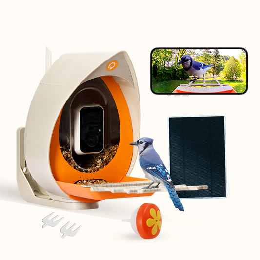 PeckPerk Smart Feeder Cam - Avia Peck