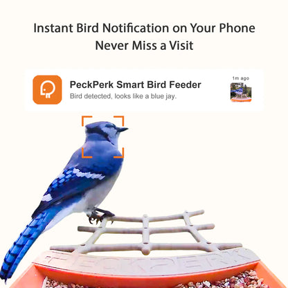 PeckPerk Smart Feeder Cam - Avia Peck