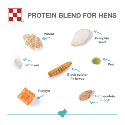 Farm to Flock - Hen Treats