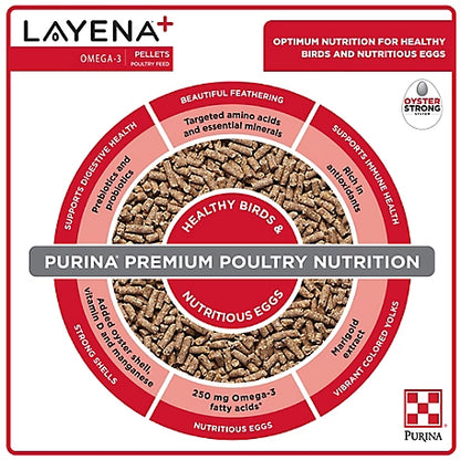 Layena+ Omega-3