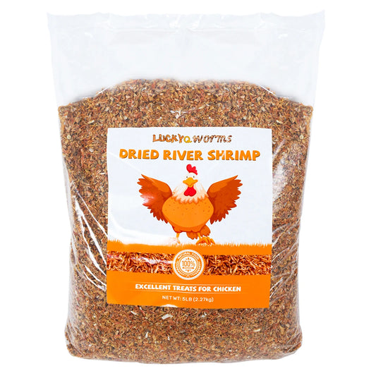 LuckyQWorms - Dried River Shrimp