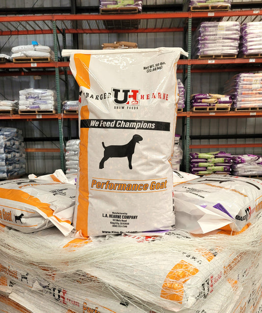 Next Level 16% Goat Show Feed - Umbarger / Hearne