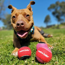 Metro Paws® Individual Tennis Balls