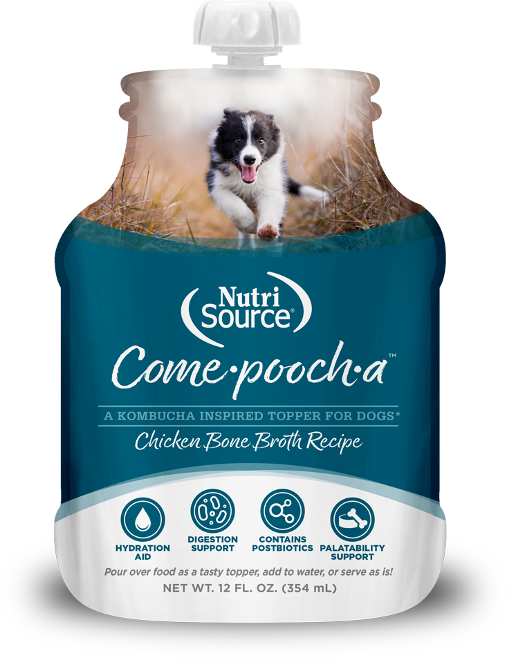 NutriSource Come-Pooch-A Bone Broth