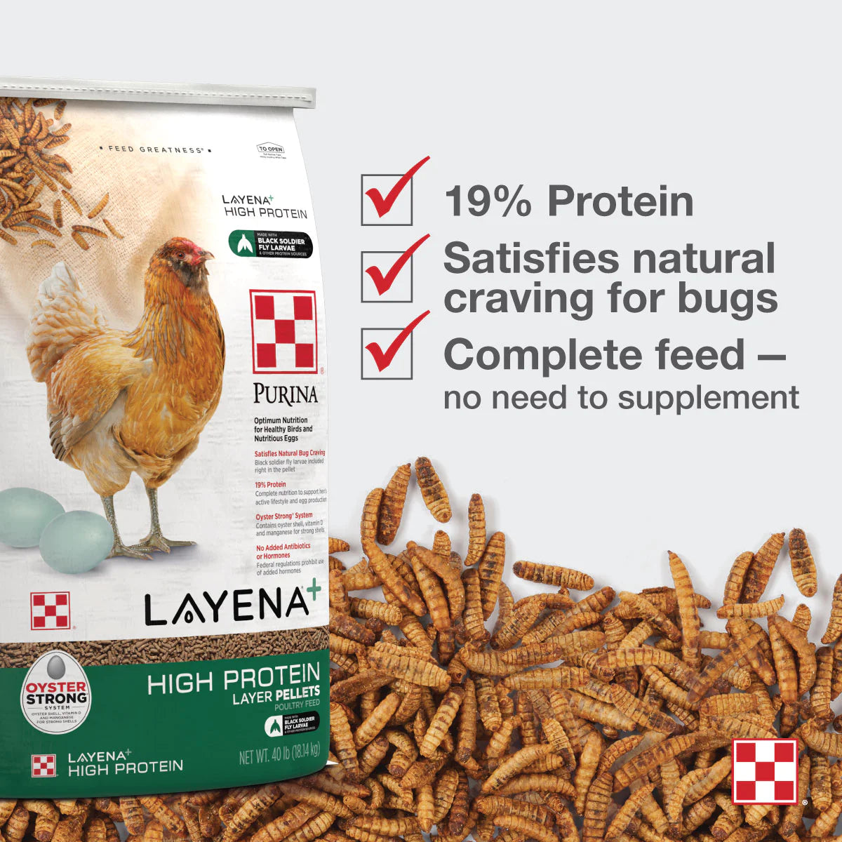 Layena - High Protein