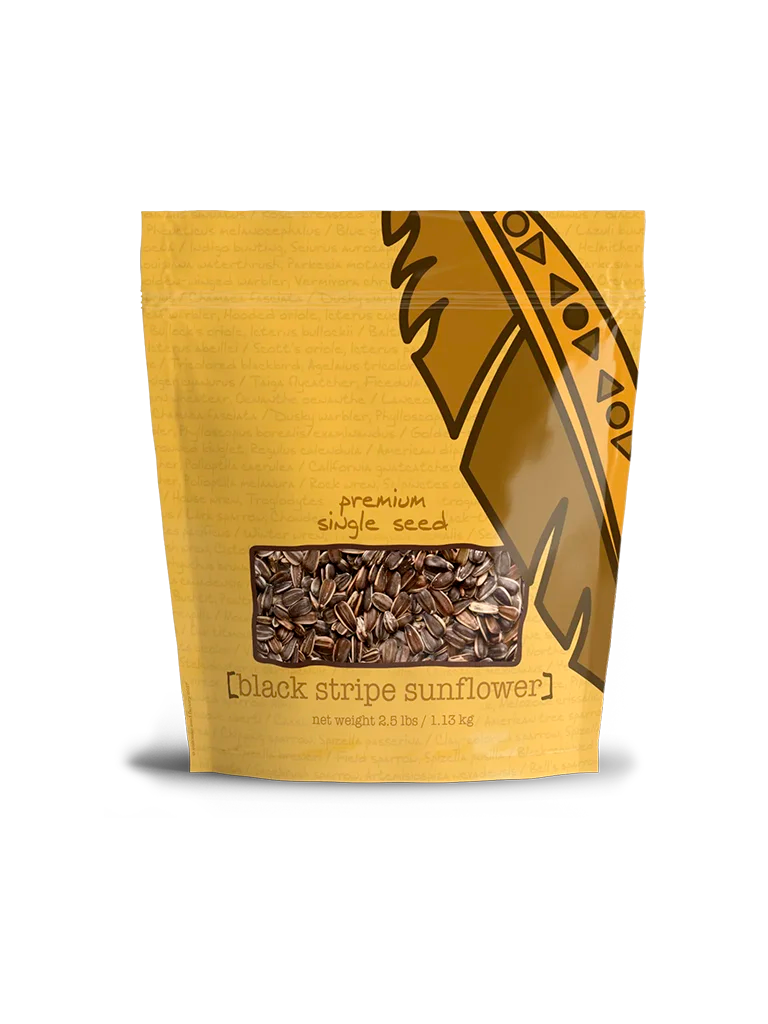 Black Stripe Sunflower