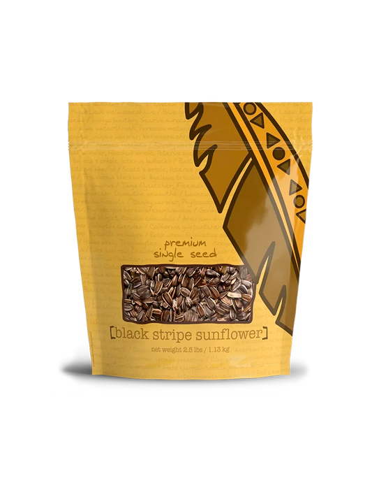 Black Stripe Sunflower