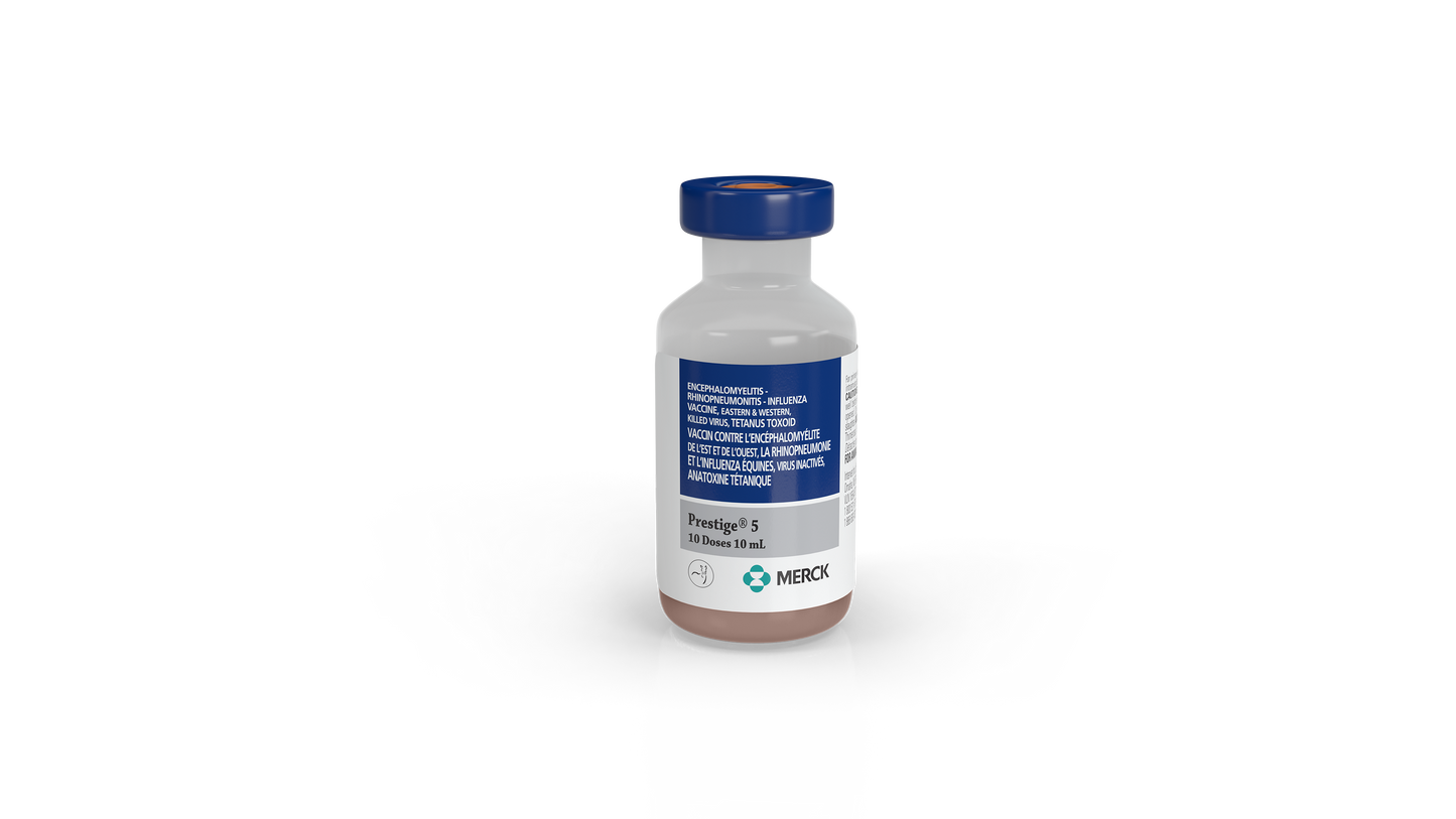 Prestige 5 1ml