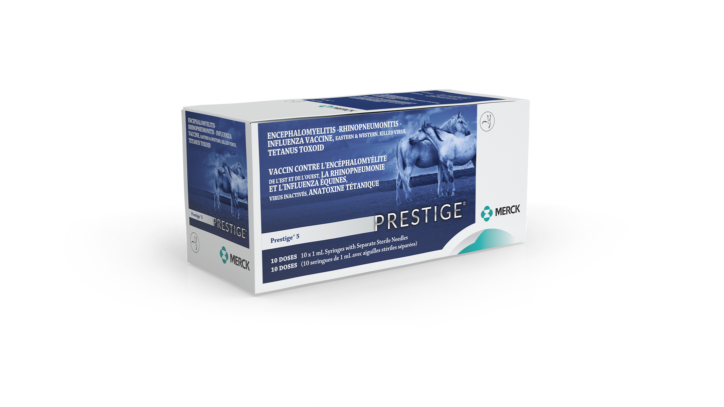 Prestige 5 1ml