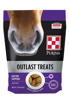 Outlast Horse Treat - 3.5lb