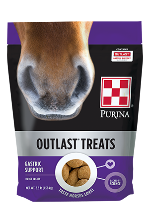 Outlast Horse Treat - 3.5lb