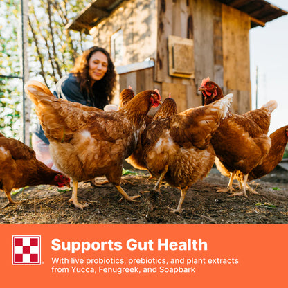 Purina® Farm to Flock™ Layer 18%