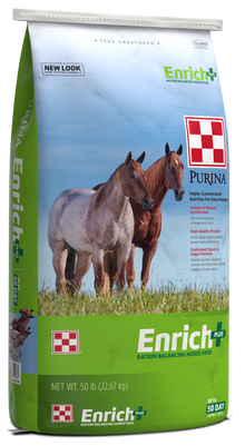 Enrich+