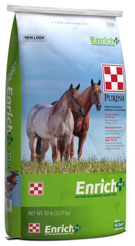 Enrich+
