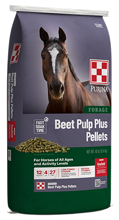 Purina® Forage Beet Pulp Plus Pellets