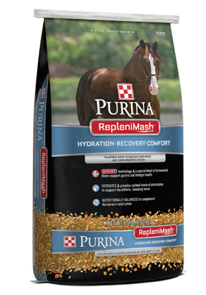 Purina RepleniMash Supplement