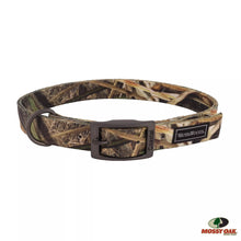 Water & Woods Double-Ply Patterned Hound Dog Collar