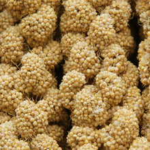 Higgins Spray Millet