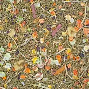 Sunburst Gourmet Blend for Guinea Pigs