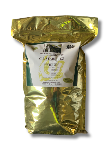 G.I. Stable-ez (Gold Bag)