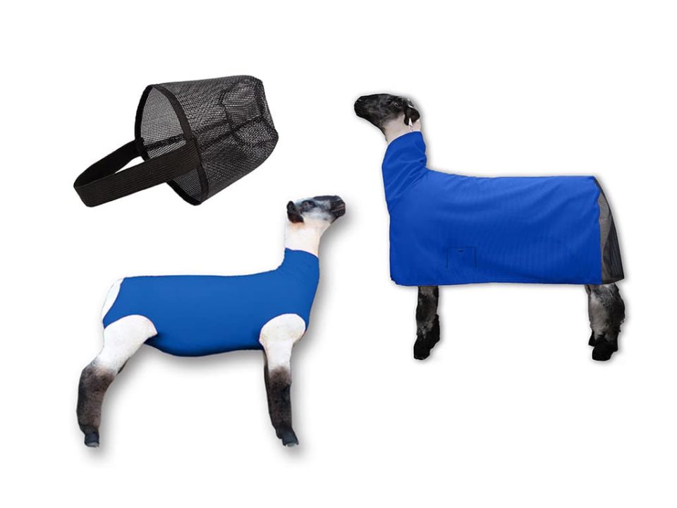 ShowPro Lamb 3-in-1 Bundle