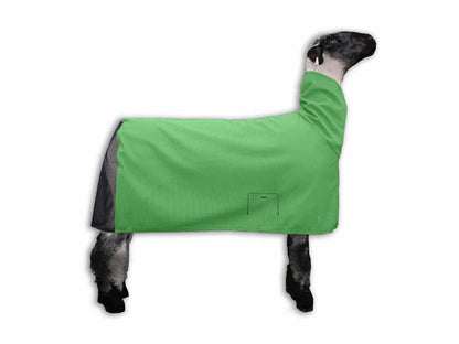 ShowPro Lamb Blanket Ultra Tough Nylon