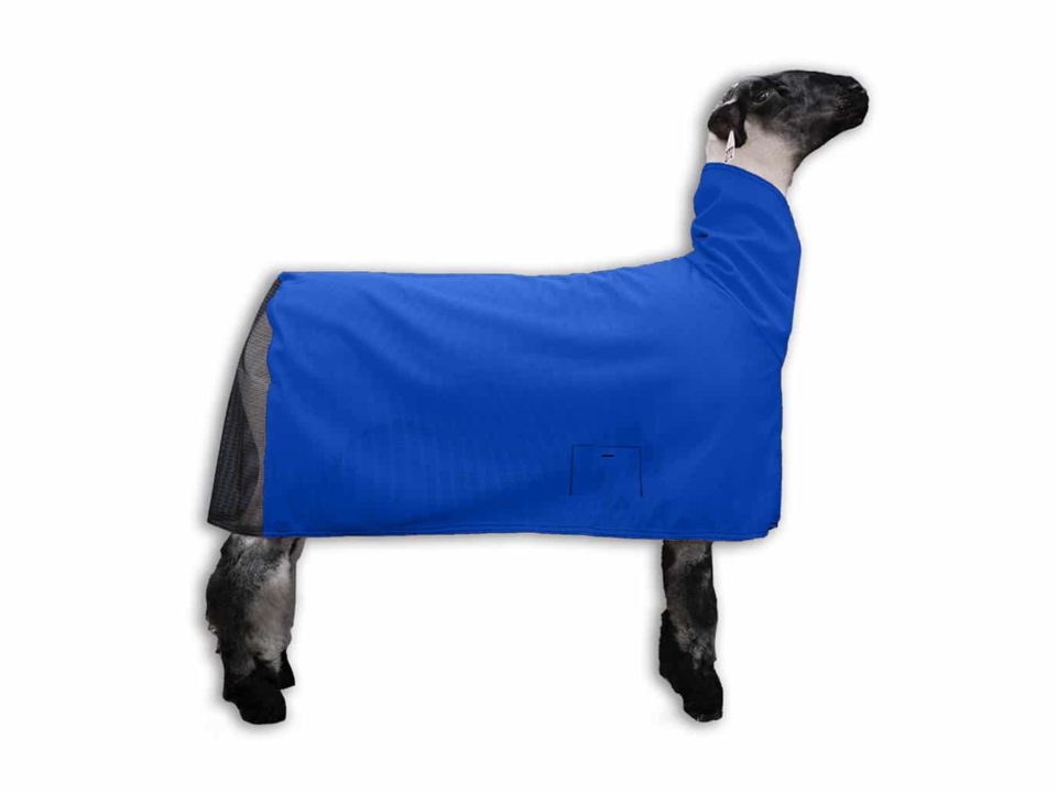 ShowPro Lamb Blanket Cool Mesh