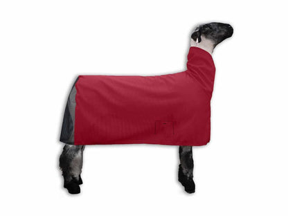 ShowPro Lamb Blanket Cool Mesh