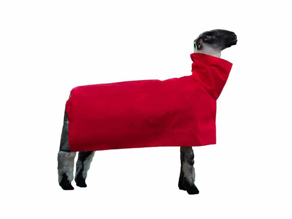 ShowPro Lamb Blanket Ultra Tough Nylon