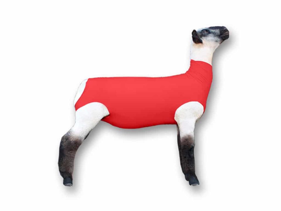 ShowPro Lamb Tube Spandex