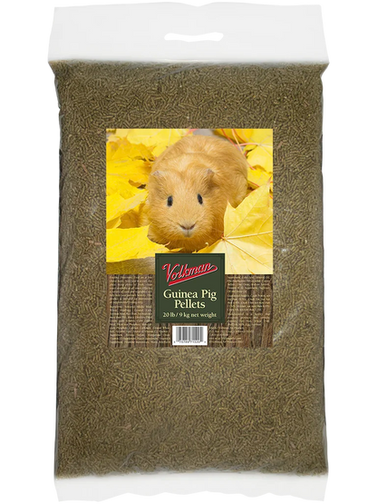Guinea Pig