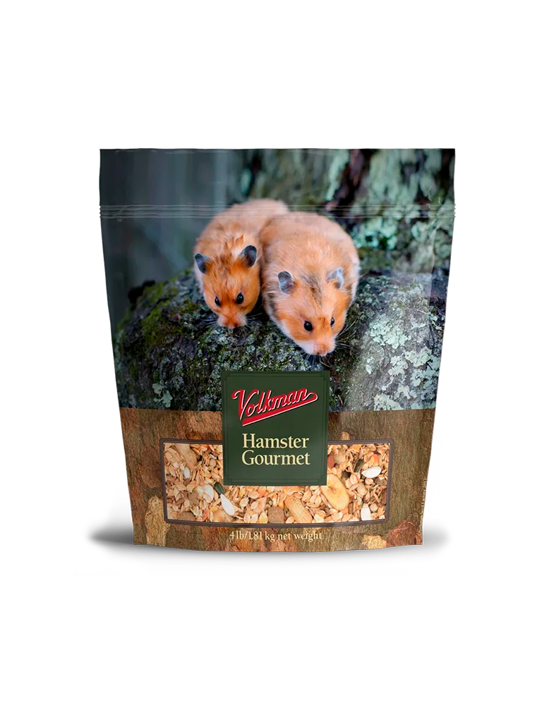 Hamster - Gourmet