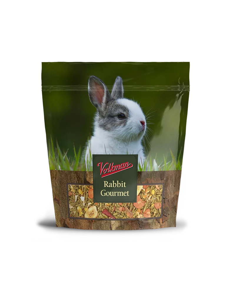 Rabbit Gourmet